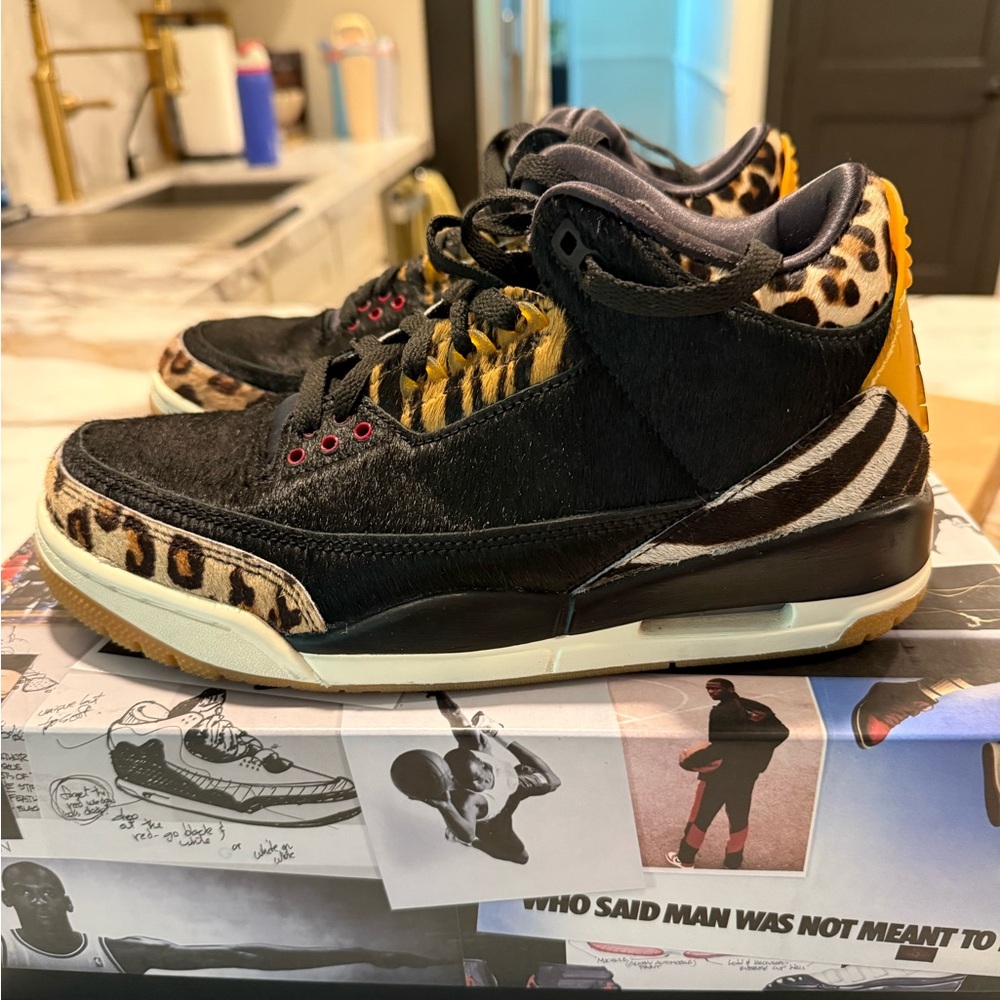Jordan Air Retro 3 SE Animal Instinct